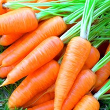 Хранение моркови в погребе