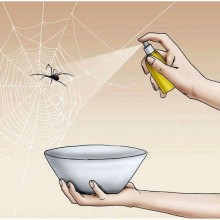Избавляемся от пауков