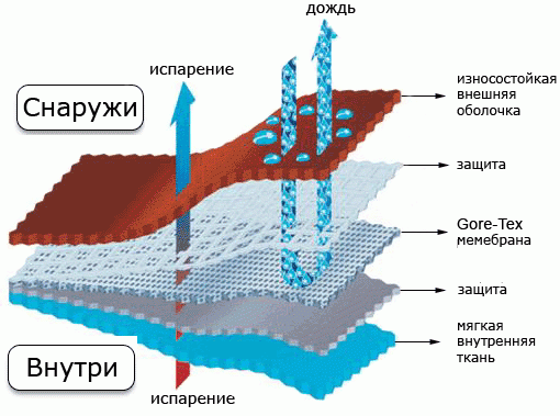 Структура мембранной ткани
