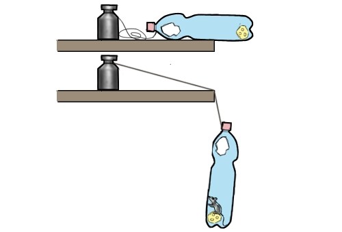 Ловушка для мышей из пластиковой бутылки