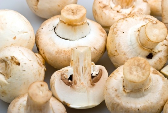 Крупные грибы натирают щеткой, чтобы удалить сор и землю