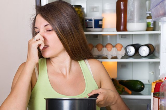 Причины запаха в холодильнике