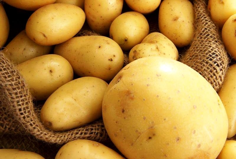 Как хранить картофель - оптимальная температура и место